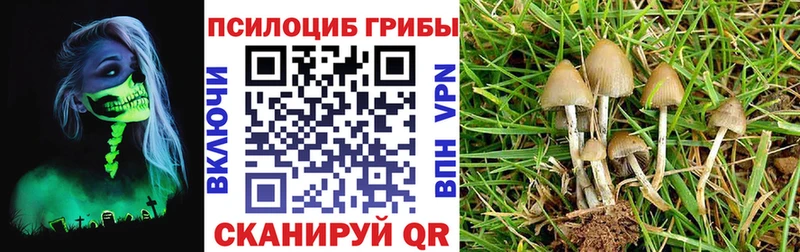 kraken как зайти  Долгопрудный  Галлюциногенные грибы мухоморы 